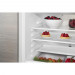 Холодильник  WHIRLPOOL ARG 585